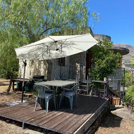Holiday Green * Carini